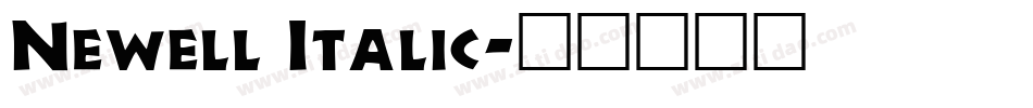 Newell Italic字体转换